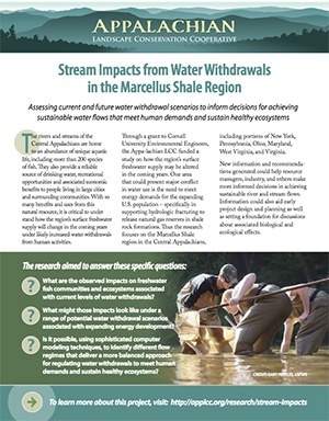 Fact Sheet: Stream Impacts