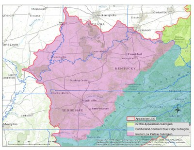 Interior Low Plateau subregion climate change vulnerability species assessments