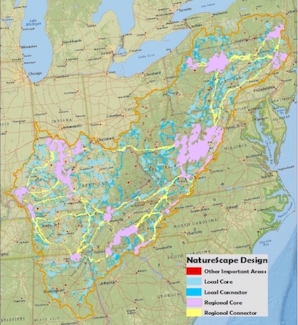 Naturescape Map 2