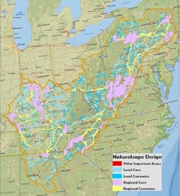 Naturescape Map 2