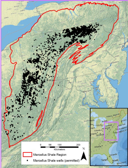 Aquatic Ecological Flows Phase 1 Report