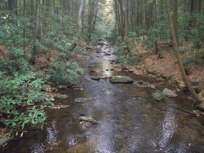 A Stream Classification System for the Appalachian Landscape Conservation Cooperative