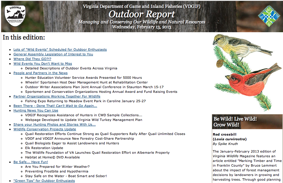 Outdoor Report 