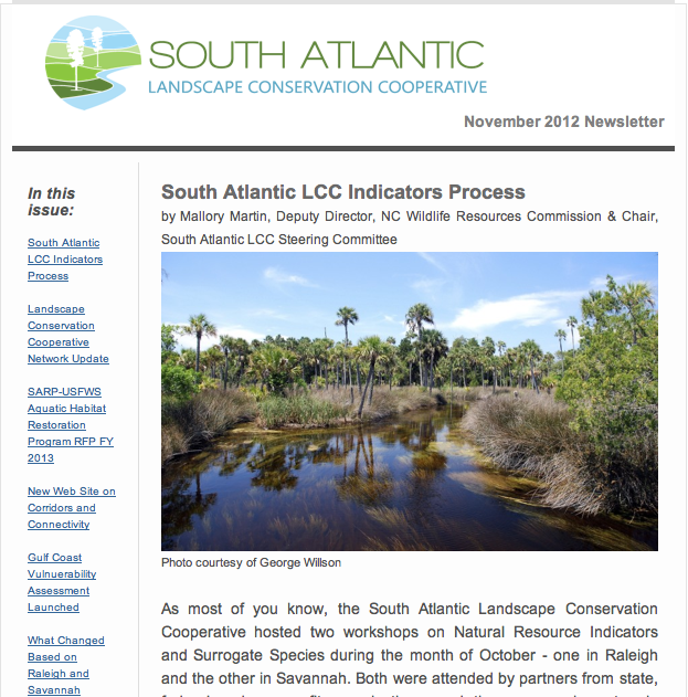 SA LCC Newsletter