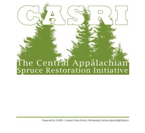 CASRI Cover Page