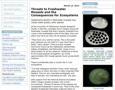 Threats to Freshwater Mussels and the Consequences for Ecosystems 