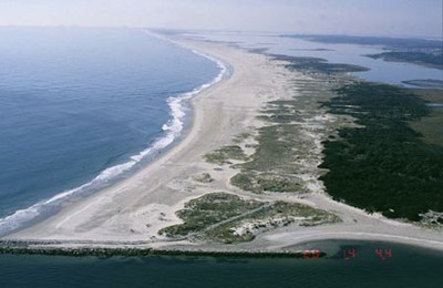 Sea-Level Rise Impacts on Piping Plovers at Assateague Island, Virginia and Maryland