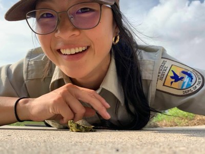 Baby Turtle Season