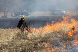  Introduction to Southeastern Prescribed Fire