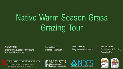 Virtual tour: Native Warm Season Grass Grazing 