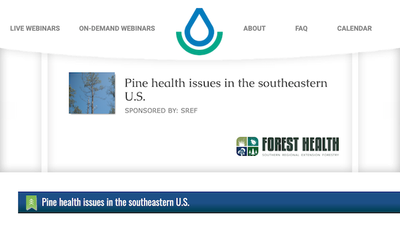 Pine health issues in the southeastern U.S.