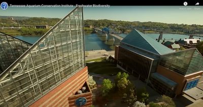 Tennessee Aquarium Conservation Institute - Freshwater Biodiversity