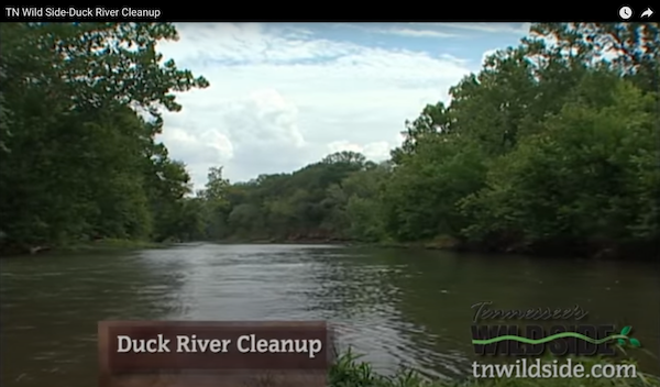 TN Wild Side - Duck River Cleanup — Landscape Partnership