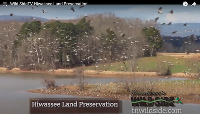 TN Wild Side - Hiwassee Land Preservation